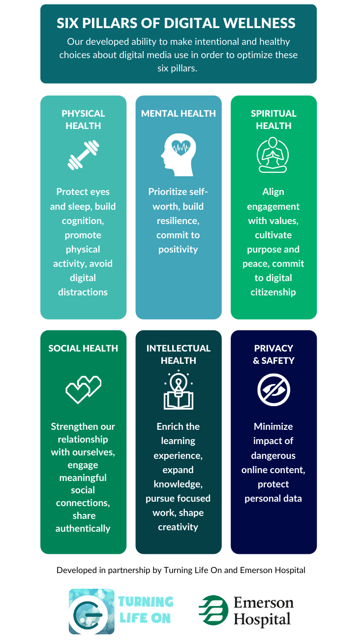 Six Pillars of Digital Wellness